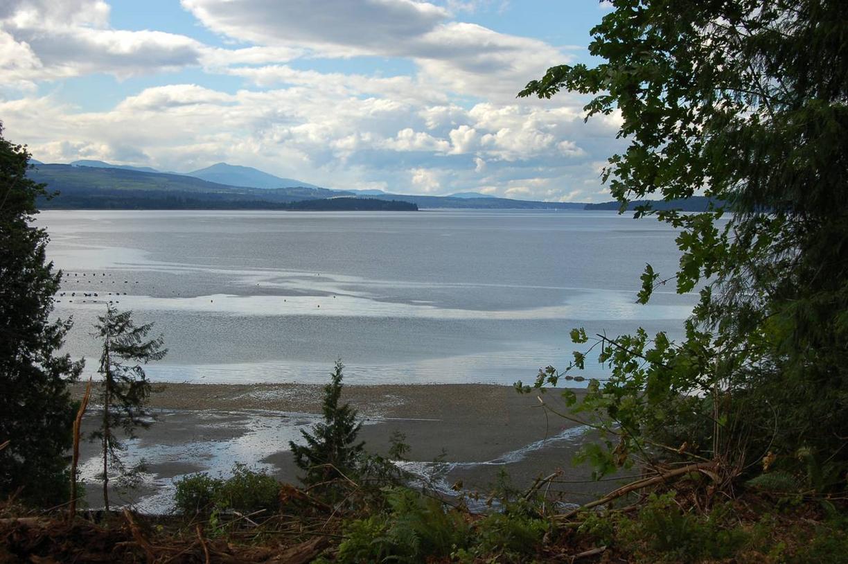 A view of Baynes Sound on a sunny day with some clouds in the sky